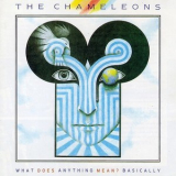 The Chameleons - What Does Anything Mean Basically '1985