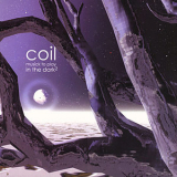 Coil - Musick To Play In The Dark, Vol. 2 '2000