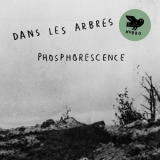 Dans Les Arbres - Phosphorescence '2017