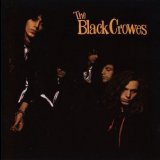 The Black Crowes - Shake Your Money Maker '1990