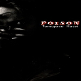 Tomoyasu Hotei - Poison (CDS) '1995