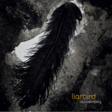 Ola Kvernberg - Liarbird '2011