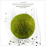 Angelica Sanchez Quintet - Wires & Moss '2012