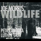 Joe Morris - Wildlife '2009