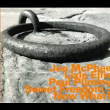 Joe Mcphee, Lisle Ellis, Paul Plimley - Sweet Freedom - Now What? '2008