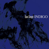 Dan Siegel - Indigo '2014