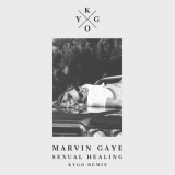 Marvin Gaye - Sexual Healing  '2015