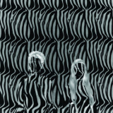 Beach House - Zebra '2010