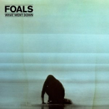 Foals - What Went Down '2015