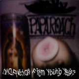 Papa Roach - Old Friends From Young Years '1997