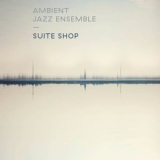 Ambient Jazz Ensemble - Suite Shop '2014