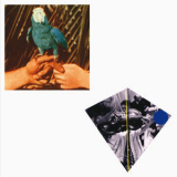 Andrew Bird - Are You Serious '2016