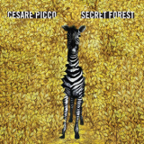 Cesare Picco - Secret Forest '2014