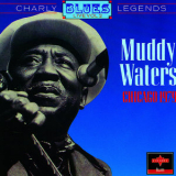 Muddy Waters - Chicago, 1979 '2006