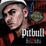 Pitbull - Money Is Still A Major Issue '2005