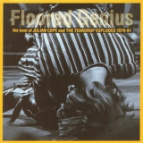 Julian Cope And The Teardrop Explodes - Floored Genius: The Best Of Julian Cope And The Teardrop Explodes 1979-91 '1992
