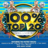 Audiogroove - 100% Top 20, Vol. 1 '2011