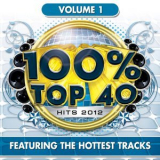 Audiogroove - 100% Top 40 Hits 2012, Vol. 1 '2012