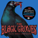 The Black Crowes - Seeing Things On The Radio (Remastered) (Live Stereo FM Radio Broadcast Set, Jul 5th '92) '2015