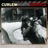Curlew - North America '1985