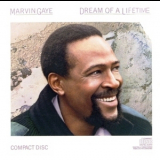 Marvin Gaye - Dream Of A Lifetime '1985