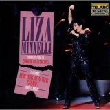 Liza Minnelli - Highlights From The Carnegie Hall Concerts '1987